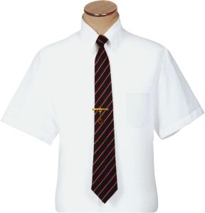 Professional White Dress Shirt