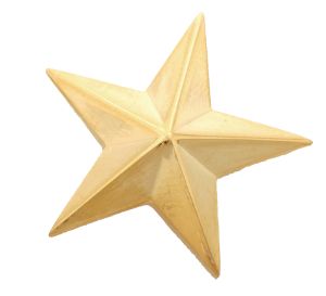 First Class Star Insignia Pair (Small)