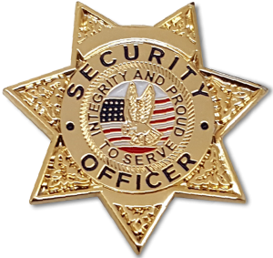 First Class LPB04 Miniature Badge Lapel Pin